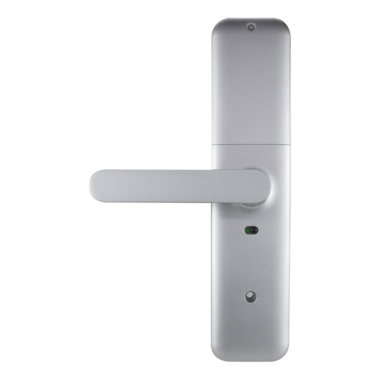 Cerradura en acabado plata - Vista 2